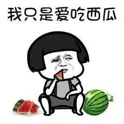 娱乐吃瓜酱题目