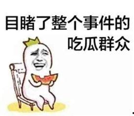 吃瓜群众网热心的朝阳群众开火车,吃瓜群众热议不断
